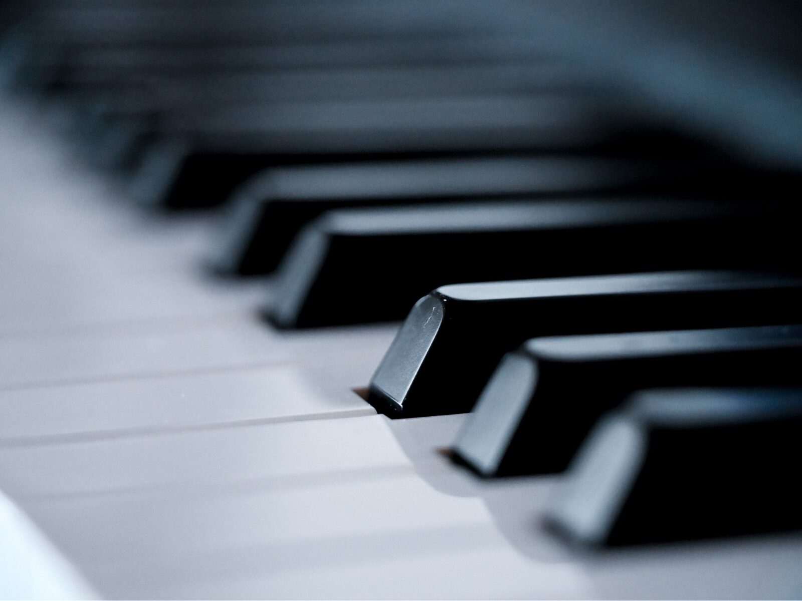 音楽理論① ダイアトニックとコード理論の基礎